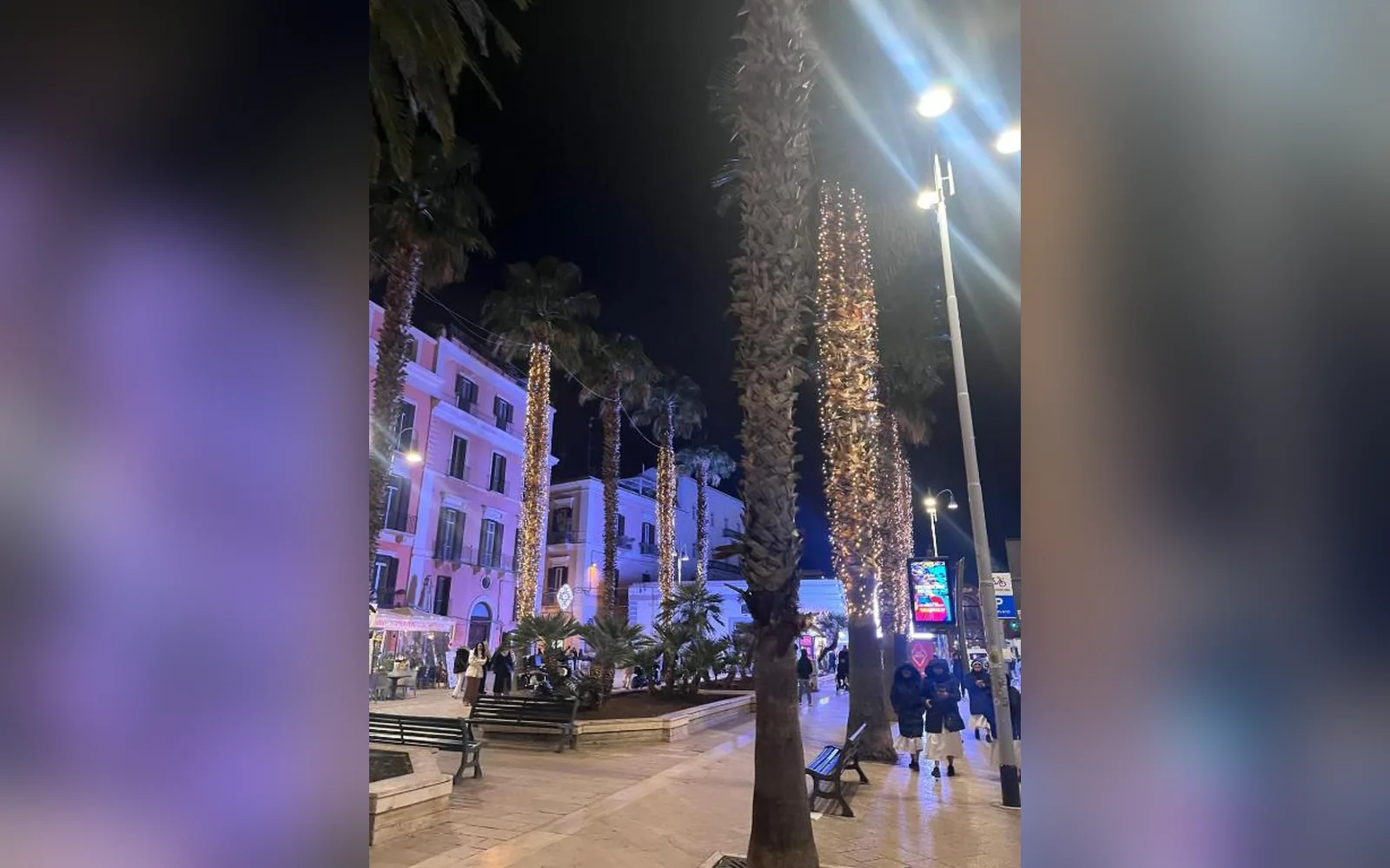 Bari di sera (Puglia) — galleria foto 15